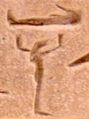 A28 variant