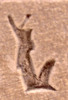 C185